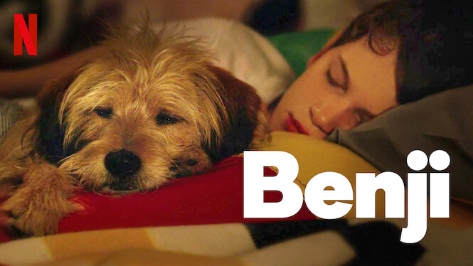 Benji (2018) - Netflix | Flixable